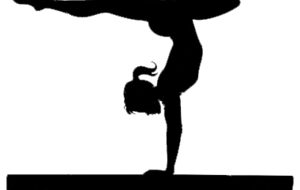 Début des cours de gym